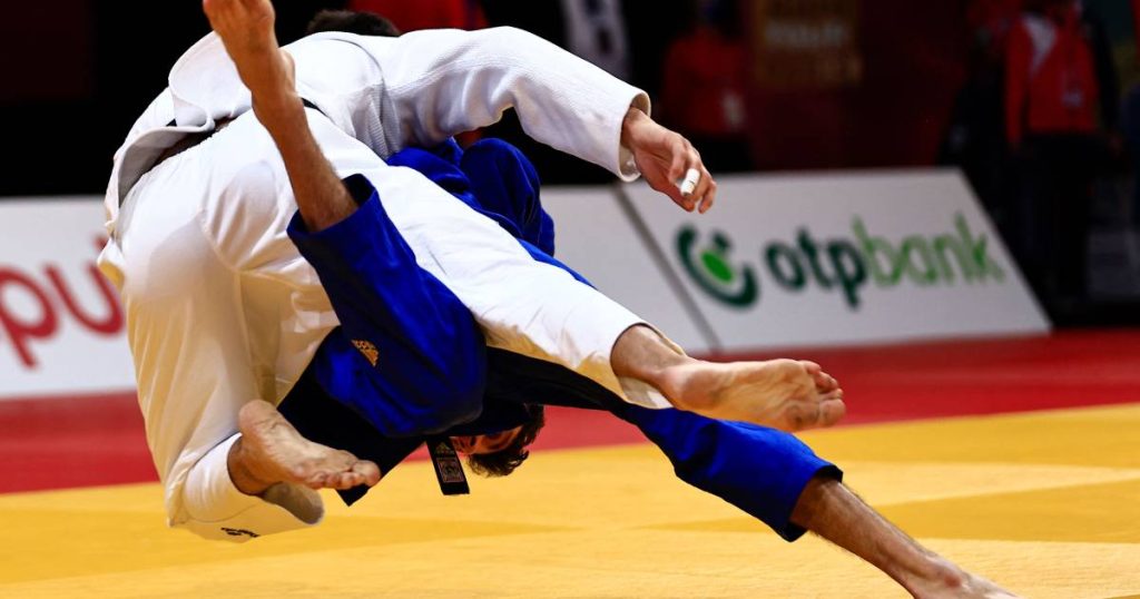 Research into the higher sports culture of judo after the cues of 'cross-border behaviour' |  other sports