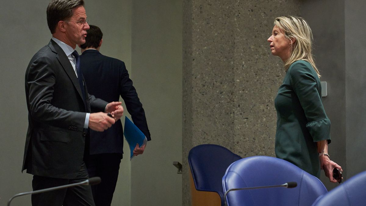 Rutte IV only on 52 skinny seats, FVD, PVV and BBB in the lift