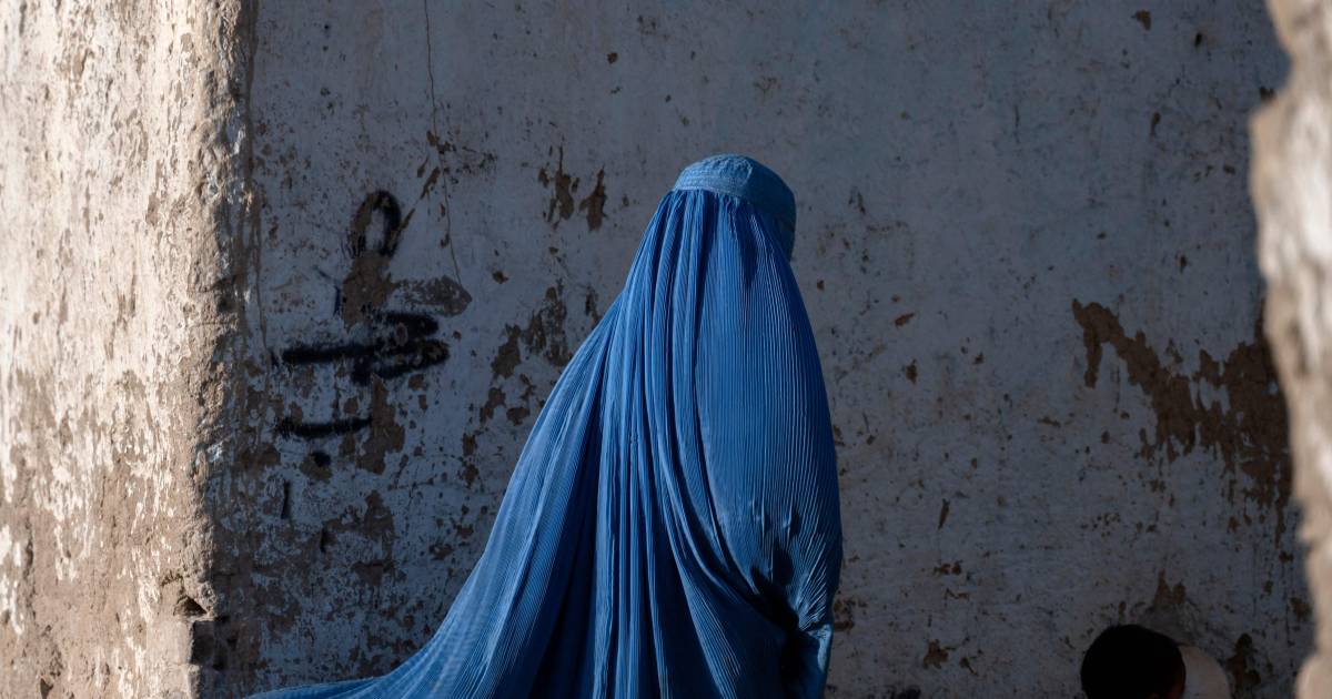 Taliban orders women to wear burqas in public |  abroad