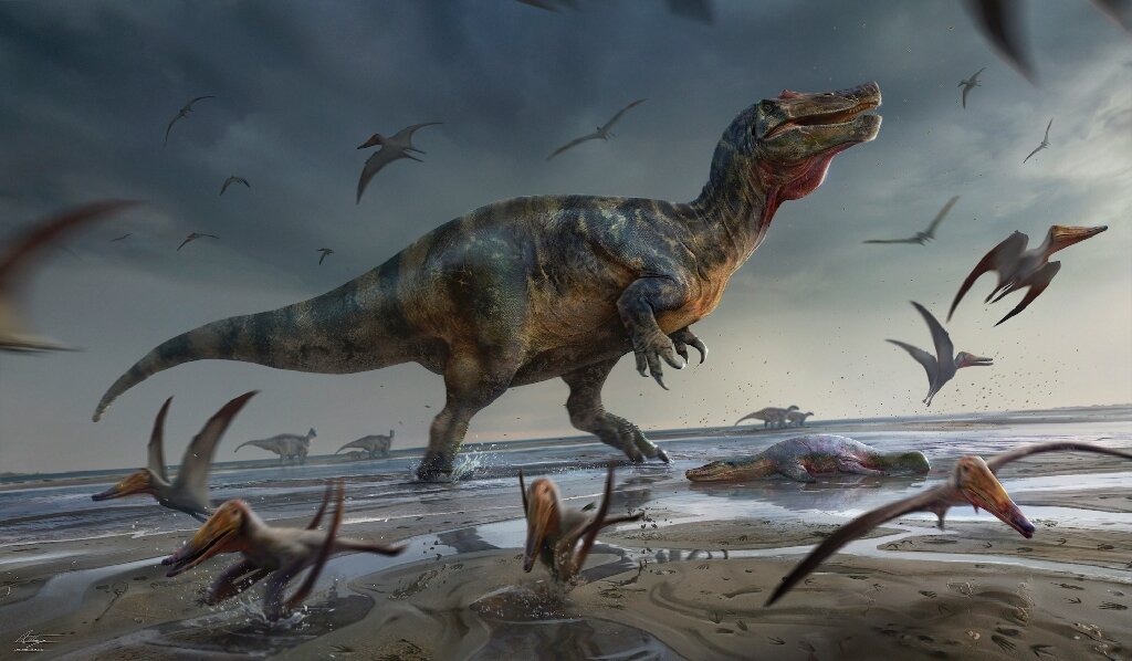 The largest predatory dinosaur in Europe was discovered by a British fossil hunter