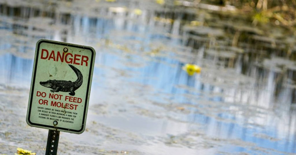 Man killed by alligator in Florida lake while searching for Frisbee |  Abroad