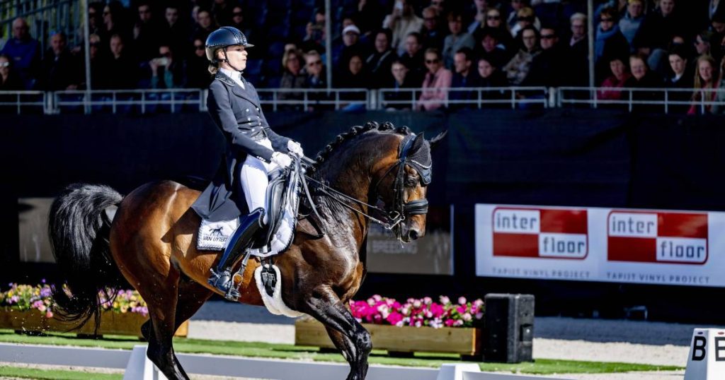 Van Lier and Zoestra win the Nations Cup at CHIO Rotterdam |  Sports in Zeeland