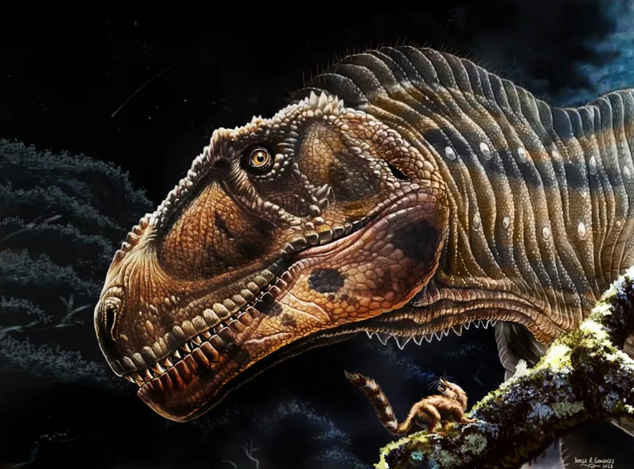 Discover a new giant carnivorous dinosaur with tiny weapons like T. rex