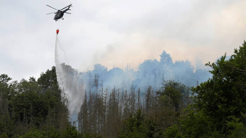 A large fire on the German-Czech border destroys homes and nature