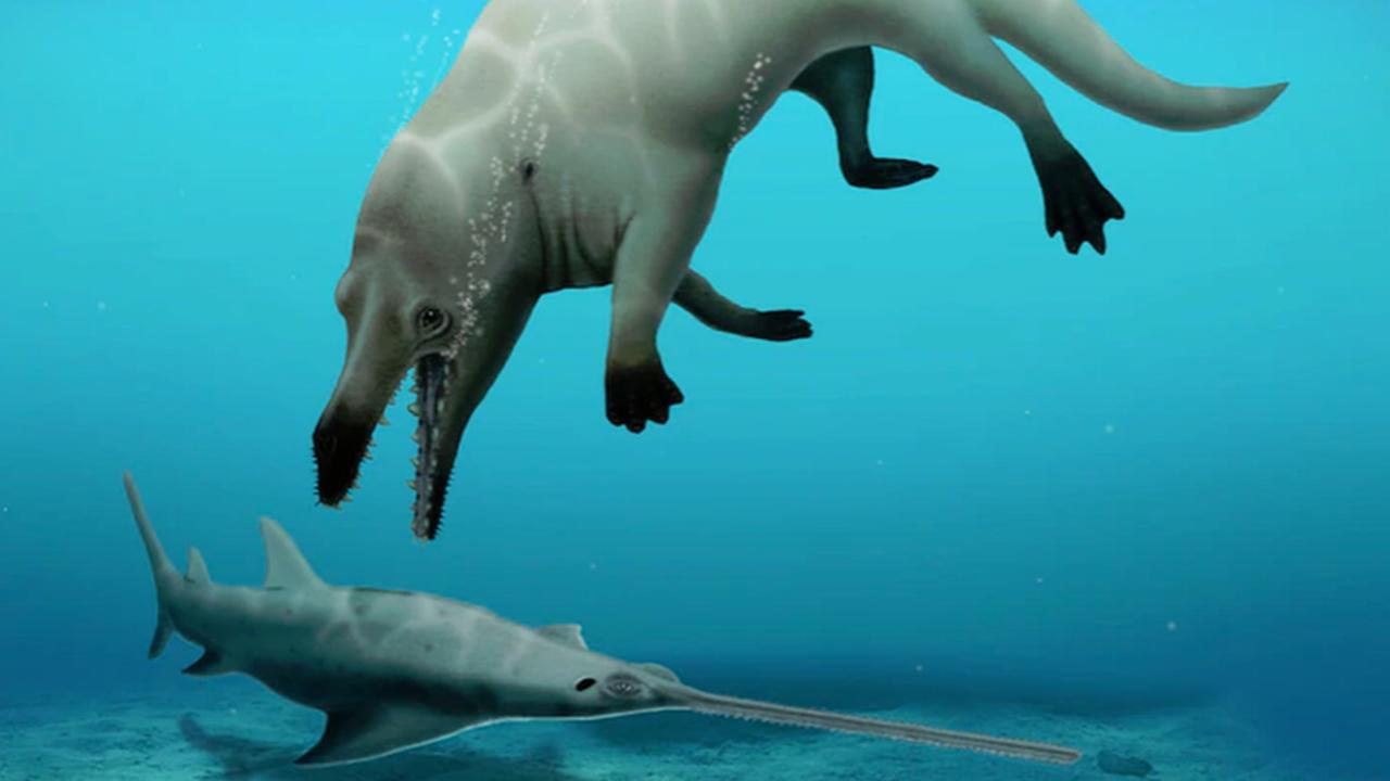 Egyptian scientists discover the first four-legged whale in Africa |  Sciences