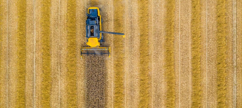 USDA raises wheat stocks