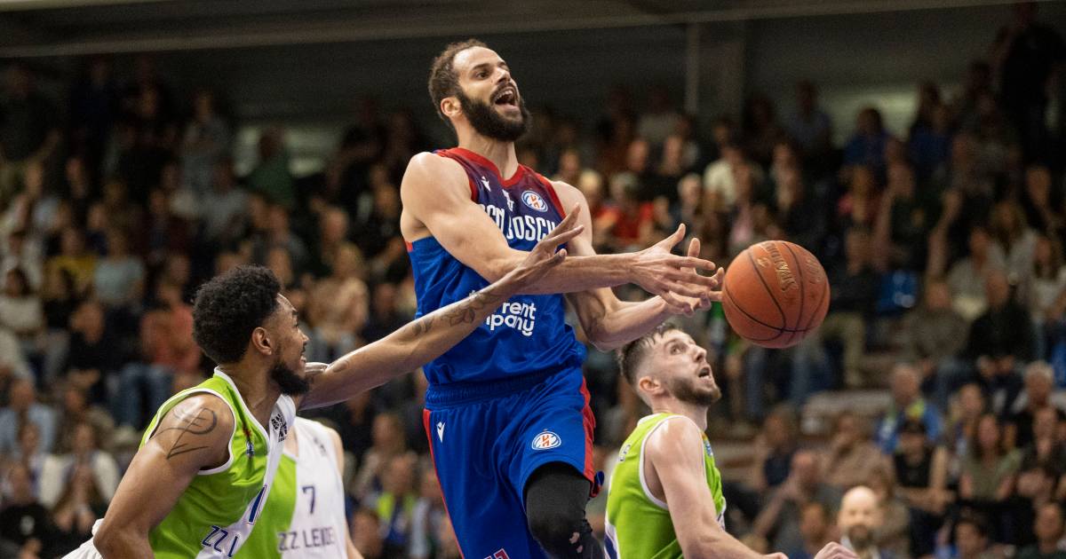 Champions player Shane Hammink stops with basketball at 28: "No longer the absolute motivation" |  Regional Sports