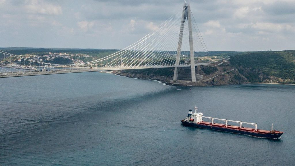 The first grain ship to leave Ukraine docks again in Turkey |  Currently