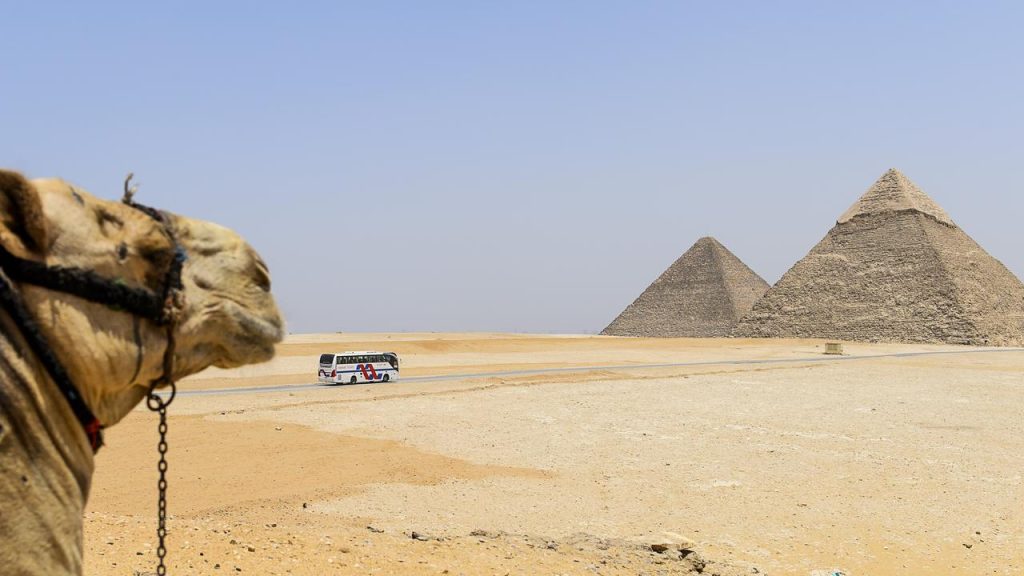 Study: Dry Nile branch now helped build the pyramids |  Sciences