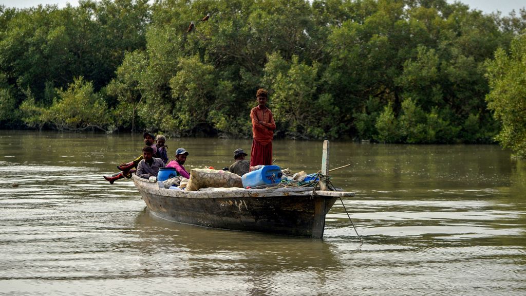 Mangrove forests thrive in Pakistan, except for the huge city of Karachi