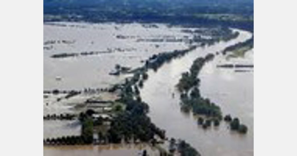 A finger lime grower in the Hawkesbury Valley lost 323,000 euros in five floods