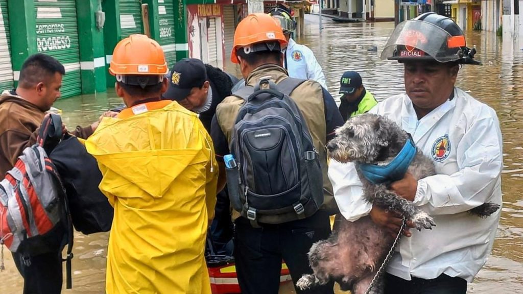 At least 25 dead in Central America due to Tropical Storm Julia |  Currently