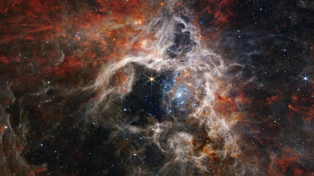 The James Webb Telescope discovers thousands of new stars in the Tarantula Nebula  Sciences